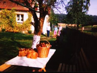 gosp agro lucja i pawel wieczorek.png